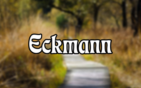 Eckmann: The Serif Font That Balances Artistry with Authority