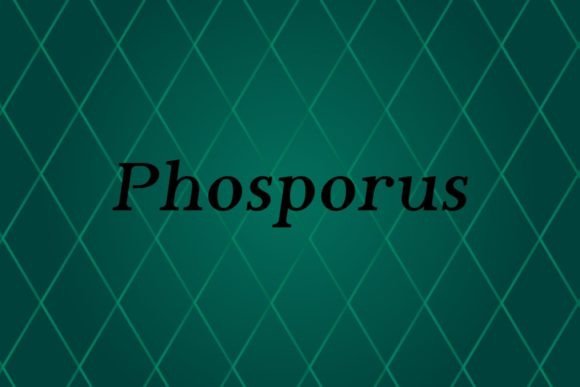 Phosporus: The Sans Serif Collection for Every Project
