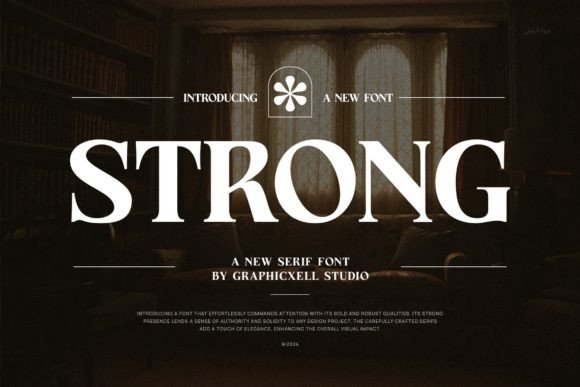 Where Timeless Strength Meets Modern Sophistication in Typography